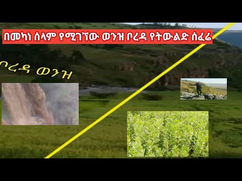 ቪዲዮ: በበርሊን የሚገኘው የስፓንዳው ከተማ