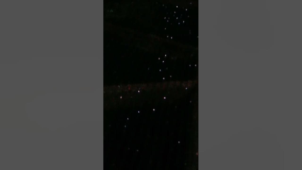 animal-sounds-at-night-youtube