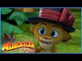 Watching the water animals | DreamWorks Madagascar