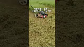 전동제초기 예초기 잔디깍는기계 긴풀 깍기 #automobile #tools #평판시트