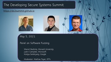 DS3 Panel on Fuzzing