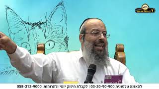 חנוך לנער | החתול והראש | היחס לקטנים