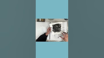 My  new technique for Mixed Media paintings