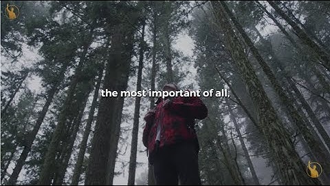 Brian Tracy | Do It Now - The Core Principles For Mastering Time Management