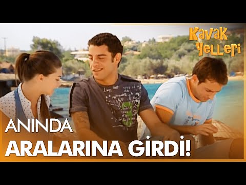 Eng katta eshak foto vahiylari