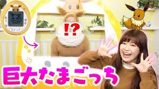 たまごっち　ポケモン ポケモン x たまごっち による夢のコラボが進行中？ | Hypebeast.JP