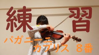 ヴァイオリニストの練習風景】パガニーニ：カプリス8番