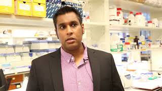 Blue Sky Science: What is gene editing?