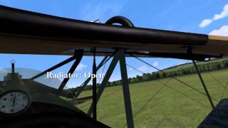 Halberstadt CL.II & 200HP (D.IIIaü) engine use
