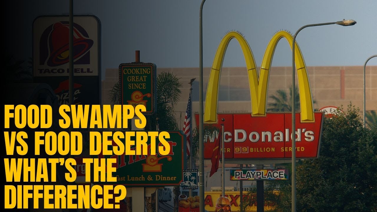Understanding Food Swamps How Your Environment Shapes Health And understanding-food-swamps-how-your-environment-shapes-health-and