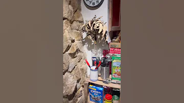 Gothic Style Airbnb At Barcelona Gothic Airbnb Barcelona Spain Trending Viralvideo Oldstyle 