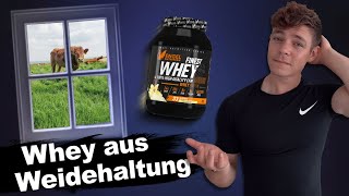 Was ändert Whey aus Weidehaltung? Finest Whey von Sportnahrung Engel im Test | Fitness Food Corner screenshot 4