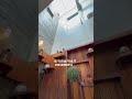 ١٢ آذار ٢٠٢٥ 