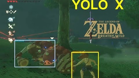 【YOLOX】AIでゲーム動画を物体検出してみた【ゼルダの伝説 ブレスオブザワイルド】