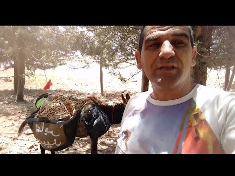 الله يسهل عليا