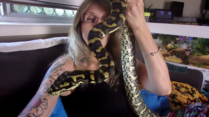 A Day in Lily's Life: Exploring, Creating Content, and Positive Snake Representation