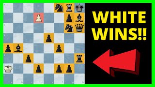 8 Truly Remarkable Chess Puzzles screenshot 5