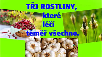 Jak vyšetřit albumin?