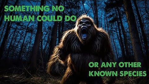 Bigfoot Vocalization or Hoax - Can AI Tell the Difference? [TWP Case #12]