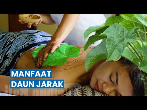 Video: Apakah rupa daun kapas?