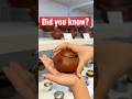 Chinese Teapot worth millions😳