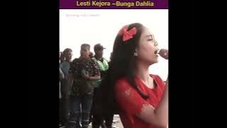 Lesti Kejora|Bunga Dahlia live panggung