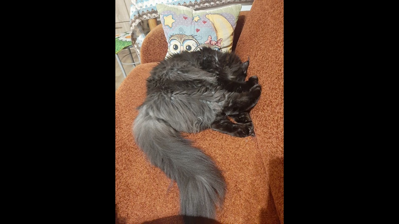 всем отличных выходных)) Демис Карибидис и Андрей Скороход -утренняя ...