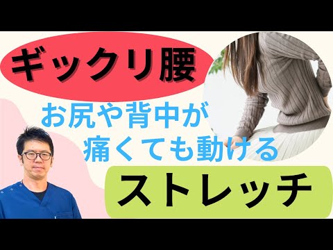 ぎっくり腰でお尻や背中が痛む症状でも動けるようになるストレッチ｜今治市　星野鍼灸接骨院