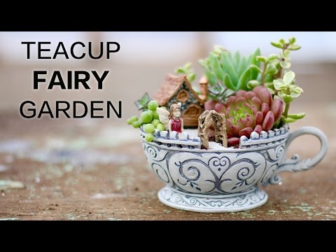 Video: Teacup Fairy Garden Ideas - Cov Lus Qhia Txog Kev Loj Hlob Teacup Garden Plants