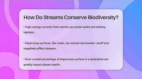 How Do Streams Conserve Biodiversity? - Ecosystem Essentials