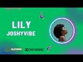 Afrobeat pop Instrumental 2023 Lojay Ft Oxlade & Ckay "Lily" Afrobeat Type Beat
