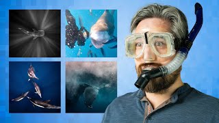 Diving Into Underwater Photography (feat. Kristi Odom) | The PetaPixel Podcast