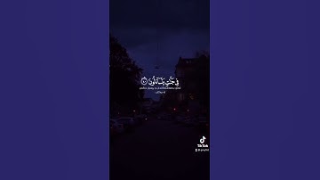 القارئ ادريس ابكر - سورة المدثر