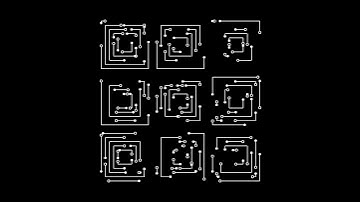 Lines on square. Draw by openFrameworks