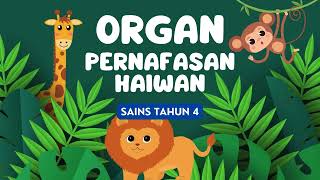 Organ Pernafasan Haiwan