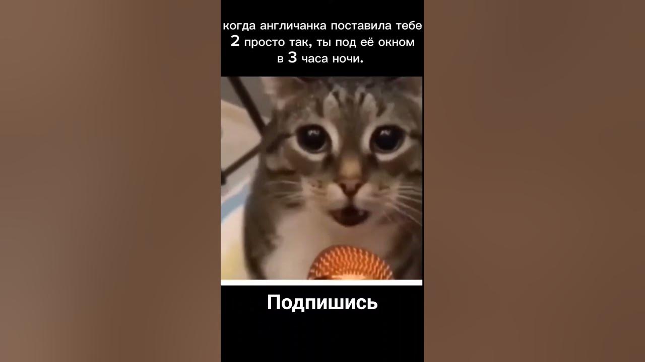 Раша Раша Держава наша Америка параша - YouTube