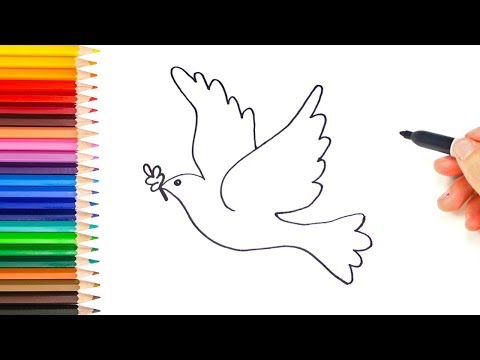 Vídeo: Como Aprender A Desenhar Uma Pomba