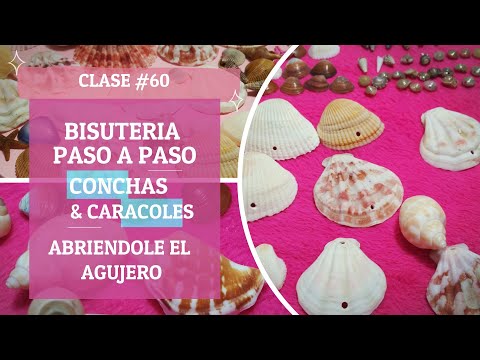 Video: Cómo Hacer Joyas De Conchas Marinas