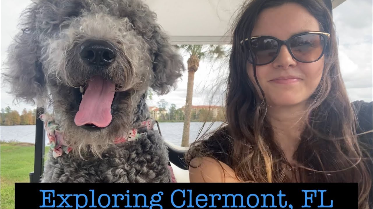 Dog Friendly Activities Long Island Dog Friendly Activities Long Island