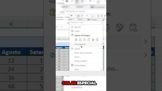 COLAR ESPECIAL no Excel: O TRUQUE que NINGUÉM te conta! 😱🔥 #ExcelDicas COLAR ESPECIAL no Excel: O TRUQUE que NINGUÉM te conta! 😱🔥 #ExcelDicas