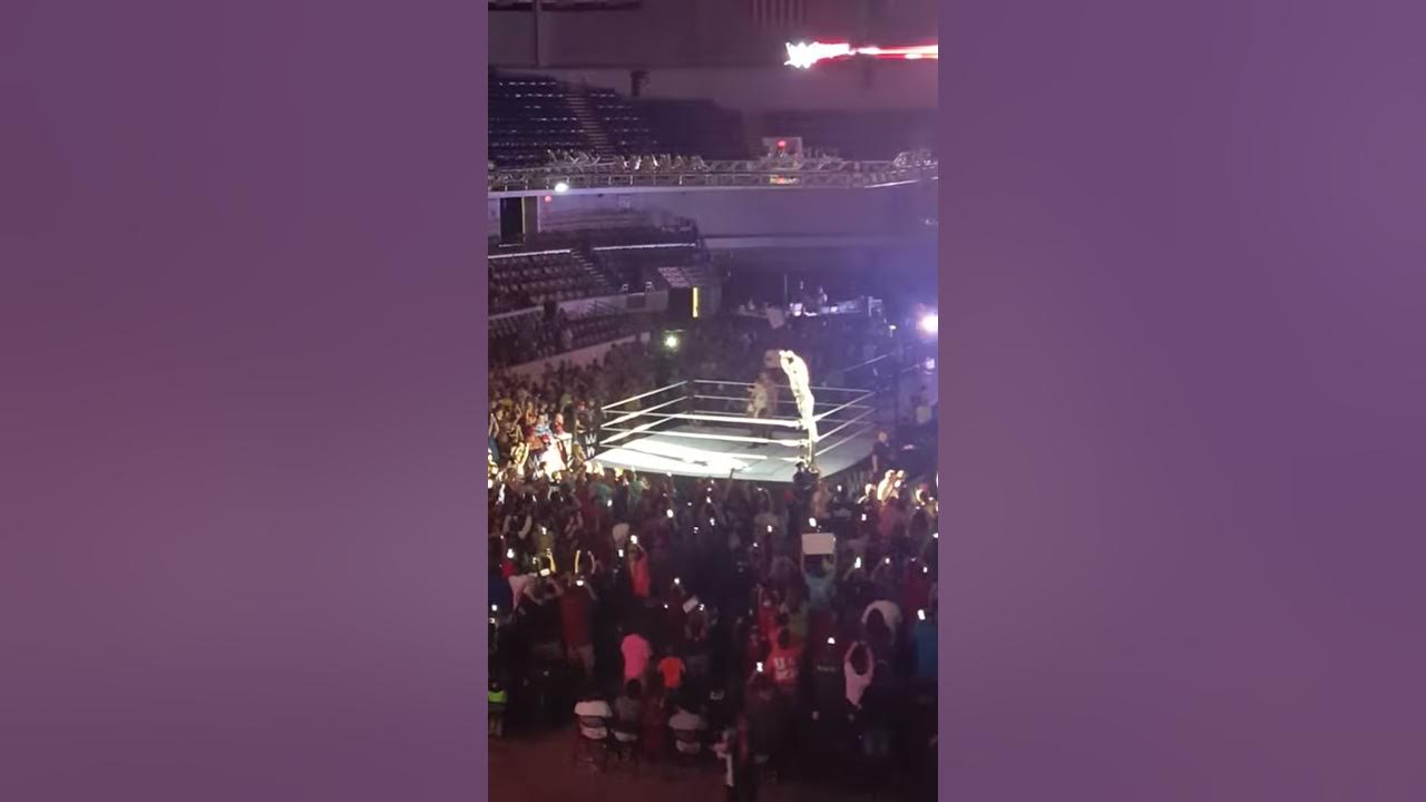 Roman Reigns Entrance At WWE Live In Huntsville, Alabama! YouTube