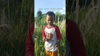 Sepedah | Anak- anak bersepedah | Pagi hari | Udara sejuk | Sehat | olahraga anak | rumput | ilalang