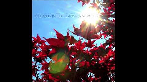 Cosmos in Collision "A New Life"