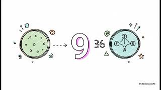 The Pharaoh s Number Code