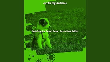 Pulsating Ambiance for Separation Anxiety