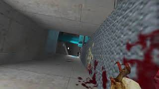 Playing Half-Life