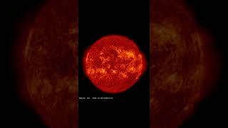Solar Dynamics Observatory Sun Images Time-Lapse Monday 28th April 2025