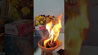 Festive vibes at Indras Academy. Dasara Puja at Indras Academy, Marathahalli🙏 #dasaracelebrations