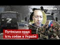 👊Гордон прокляв окупантів за з'їденого собаку: Це дикуни! Щоб вони здохли / армія рф - Україна 24