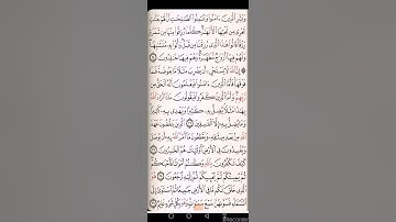 الصفحة الثالثة من سورة البقرة د ياسر الدوسري مكررة 5 مرات للحفظ (من 24 الي 29)